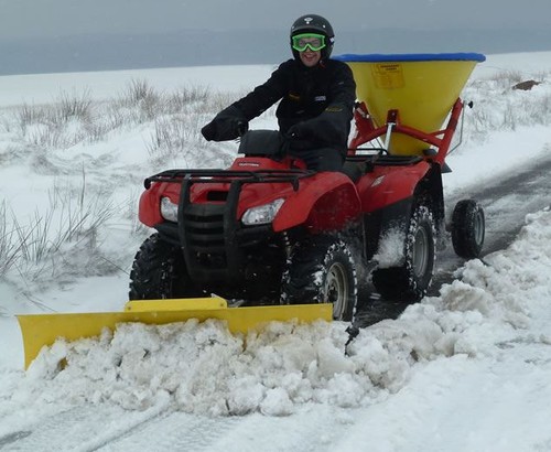 Yamaha grizzly kodiak 350 - kodiak,