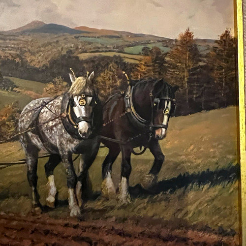 Gerald broom original - broom,